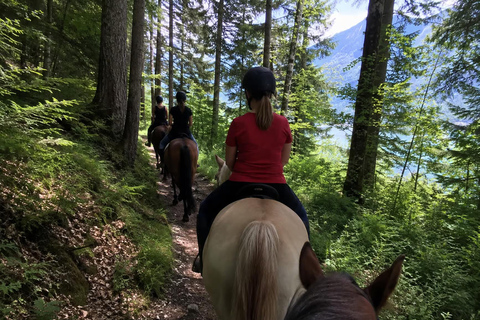 Lake Bled: Scenic Horseback Ride in the Julian Alps