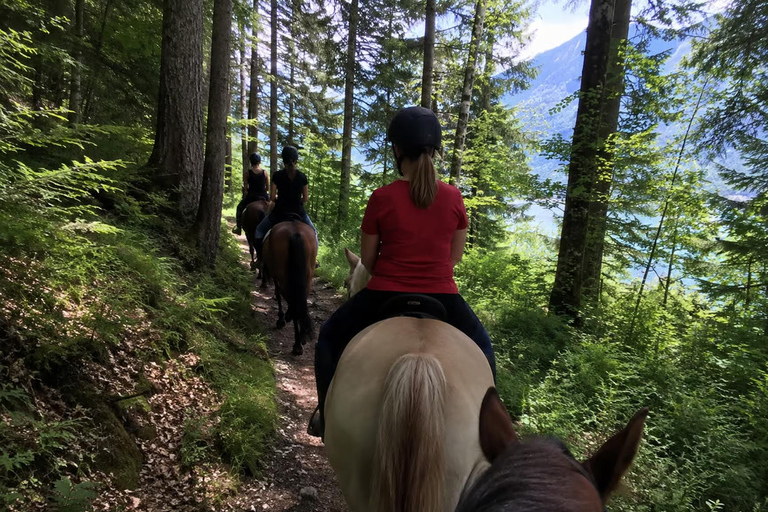 Lake Bled: Scenic Horseback Ride in the Julian Alps