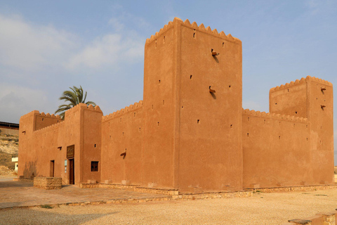 Salalah: Private East Salalah Tour — Half or Full Day Full day Hiace 5-12