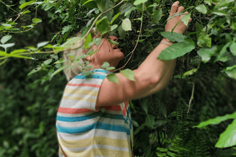 Zanzibar: Spice Farm Guided Walking Tour With Lunch