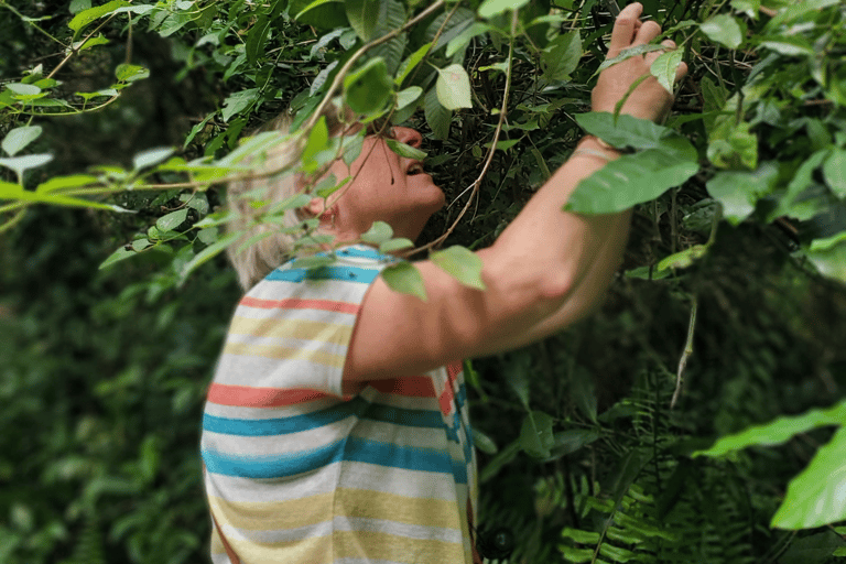 Zanzibar: Spice Farm Guided Walking Tour With Lunch