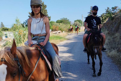 Bodrum: Horse Riding Experience with Forest or Seaside Route Seaside Horse Riding Tour (2 Hours – Beach Route)