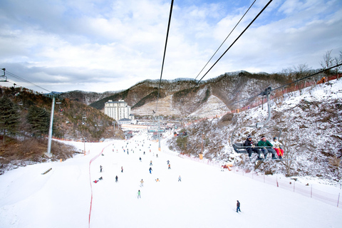 Shuttle bus to Elysian Ski Resort(Only Transportation) Depart from Myeongdong Station Exit 3