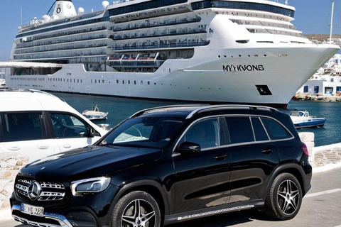 Small Group Mykonos Tour for Cruise Passengers (Port pickup)