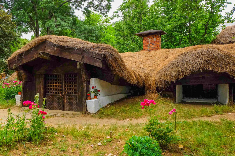 Bucharest Tour: Parliament, Ceausescu House & Village Museum