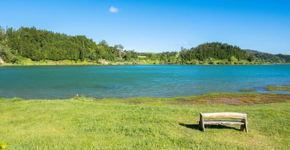 Full Day: Furnas, Tea Plantations & More With Lunch