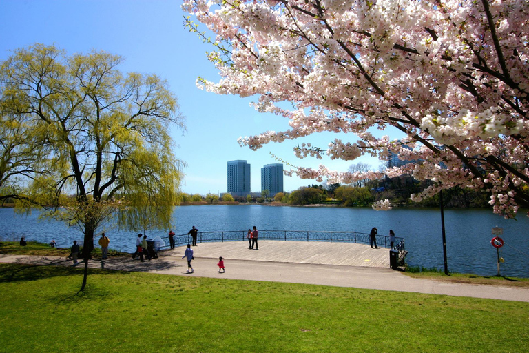 Bike Tour of Toronto Top Attractions with Private Guide 6-hour: Old Town, CN Tower, ROM, High Park Tour