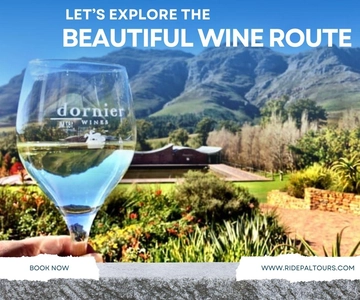 Cape Winelands: Private Full Day Wine Tour