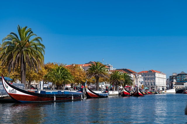 DO PORTO :Tour a Coimbra / Aveiro / costa nova de 1 dia