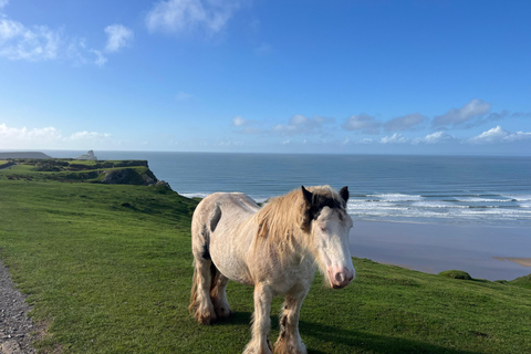 From Cardiff: Gower Peninsula, Finest Cliffs of South Wales