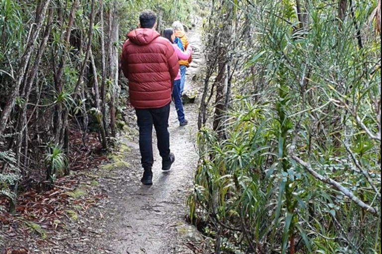 From Hobart: Mt Wellington Morning Walking Tour