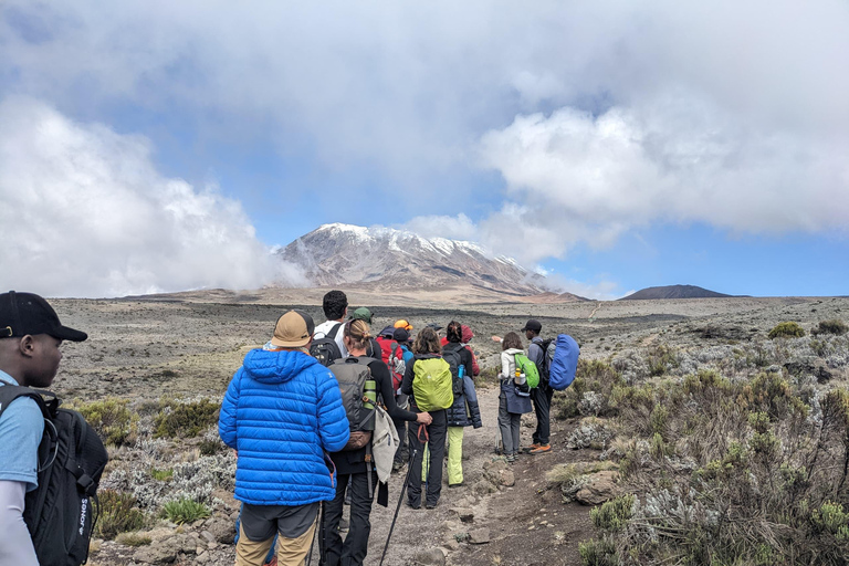 La mejor ruta del Kilimanjaro Machame en 7 días, Summit Top Africa