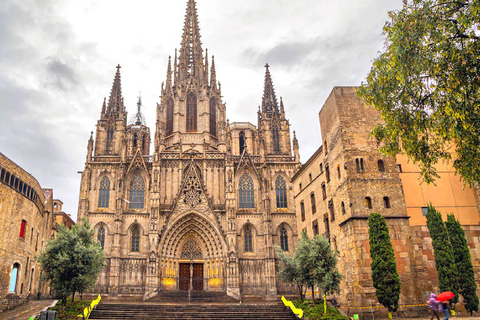 Barcelona Cathedral: Exclusive walking tour & entry tickets.