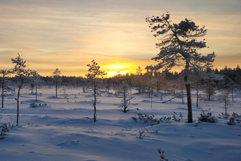 Rovaniemi: Ice Fishing, Snowmobile, and Net Fishing Tour