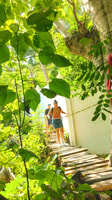 Coastal Gems Expedition with a Certified Tour Guide - Hizvo