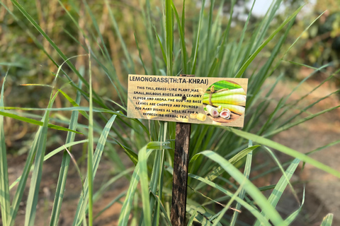 Aonang: Thaise kookles met markt- en moestuintourAonang: Thaise kookles met markt- en keukentuintour