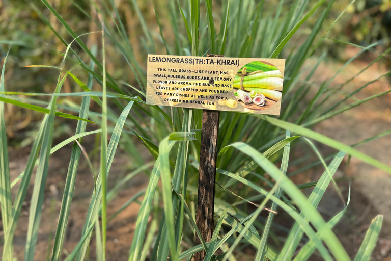 Aonang: Thaise kookles met markt- en moestuintourAonang: Thaise kookles met markt- en keukentuintour