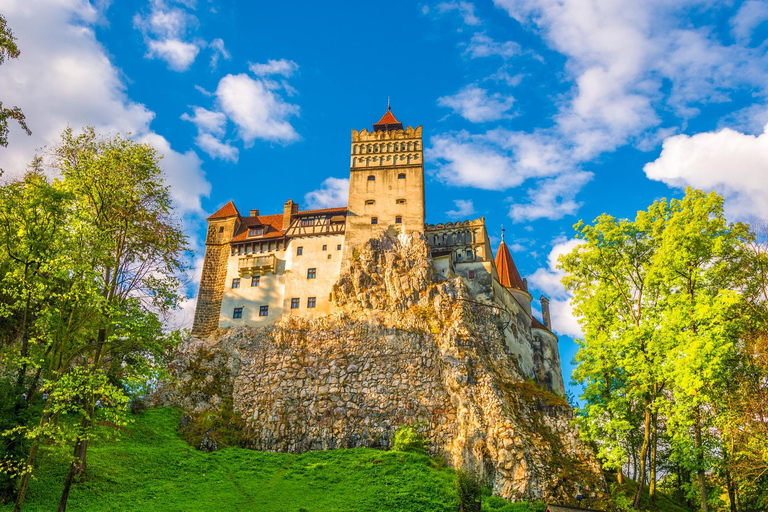 MINIVAN Dracula Castle, Peleș Castle & Old Center of Brașov Audio Guide 24 Languages