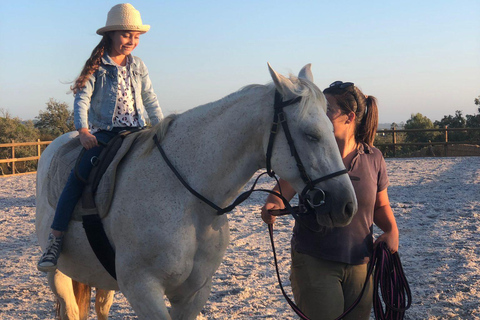 Costa Alentejana: Horse tour in Serra de Grândola