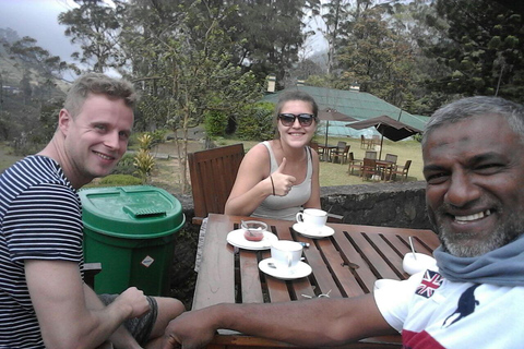 康提：嘟嘟车城市观光（含导游）康提：嘟嘟车城市观光私人之旅（含导游）