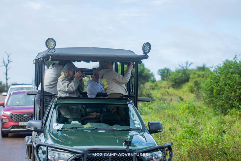 Kruger Park: Big Five Photography Expedition from Maputo