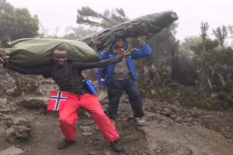 Tanzania: 10-Day Safari with Ngorongoro and Serengeti