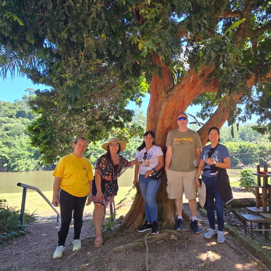 Colagem de mídia