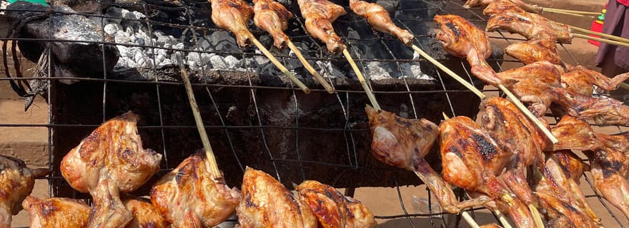 Visite d'une journée à Jinja et à la source du Nil (guide féminine)