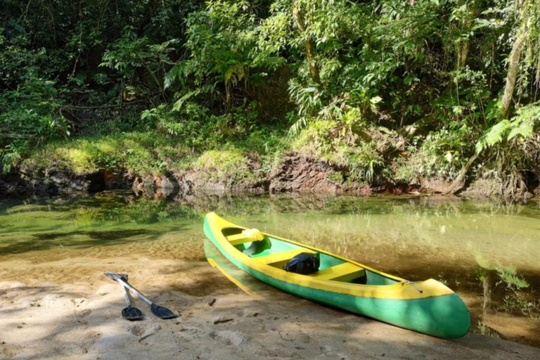 Santos: Geführte Kajaktour im Herzen des State ParksSao Paulo: Geführtes Kajak im Herzen des Staatsparks