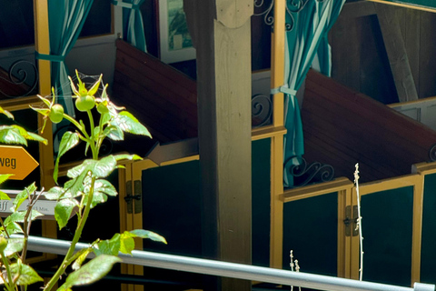 إنترلاكن: استكشف إيسلتوالد وجيسباخ بجولة بالدراجة الكهربائية