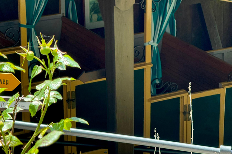 إنترلاكن: استكشف إيسلتوالد وجيسباخ بجولة بالدراجة الكهربائية