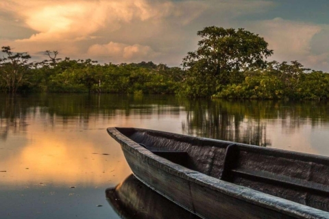 From Iquitos || 4 day Yanayacu River tour with bird watching