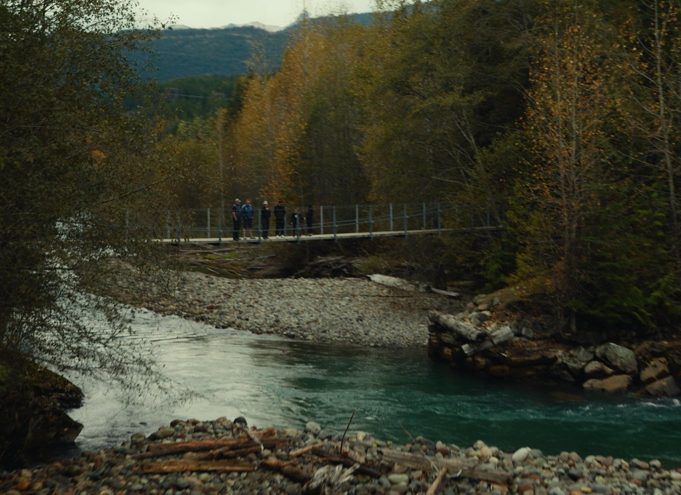 Whistler: Morgen med bjørnene Land Rover naturskøn udflugt