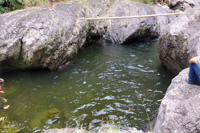 MEDELLIN: DAWN GARDEN TOUR WITH VISIT TO BETANIA - 2 DAYS AND 1 NIGHT