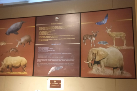 Nairobi: Historical Walking Tour with Art Historian Guide