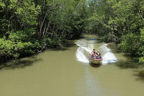 Ho Chi Minh Eco Tour: Privada Can Gio Isla de los Monos