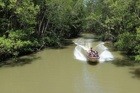 Depuis Ho Chi Minh : Visite guidée Premium de l&#039;île aux singes de Can Gio