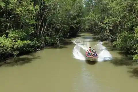 Ho Chi Minh Eco Tour: Private Can Gio Monkey Island