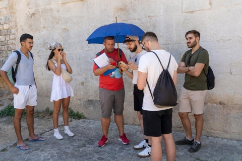 Split: Tour zu den Krka-Wasserfällen mit Kreuzfahrt, Öl- und WeinprobeGanztägige Tour zu den Krka-Wasserfällen mit Abfahrt am Morgen
