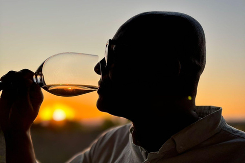 Alyan Family sunset winery Alyan Family