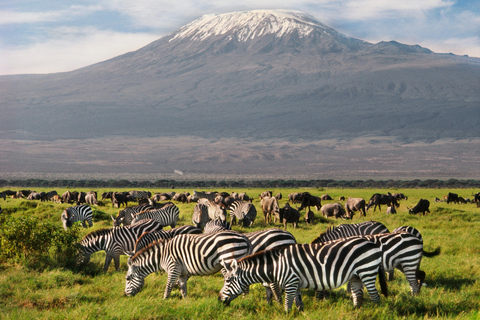 Pernoita no Safari em grupo no Parque Nacional Amboseli