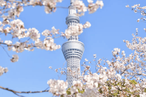 Tokyo: Private City Tour with Tokyo TeamLab Planets.