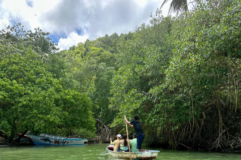 Rincon Beach och Cayo Levantado från Punta Cana