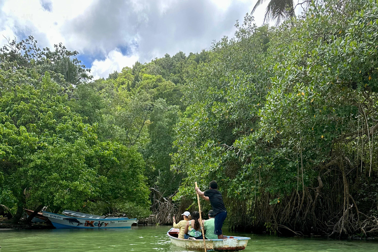 Rincon Beach och Cayo Levantado från Punta Cana