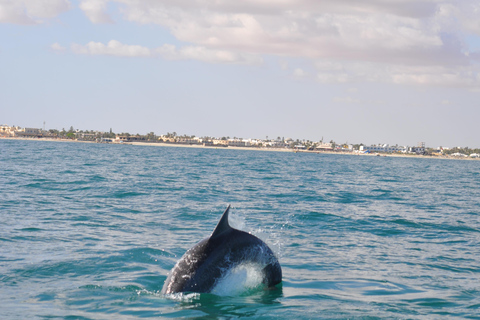 Djerba: Half-Day Boat Trip, Dolphin Watching, Swimming, and Lunch