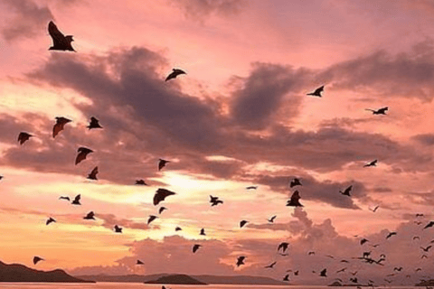 Labuan Bajo Sunset Trip – Explore 3 Destinations