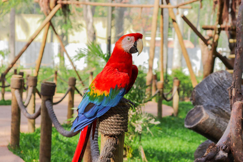 Rio de Janeiro: BioParque Guidad tur med transfer