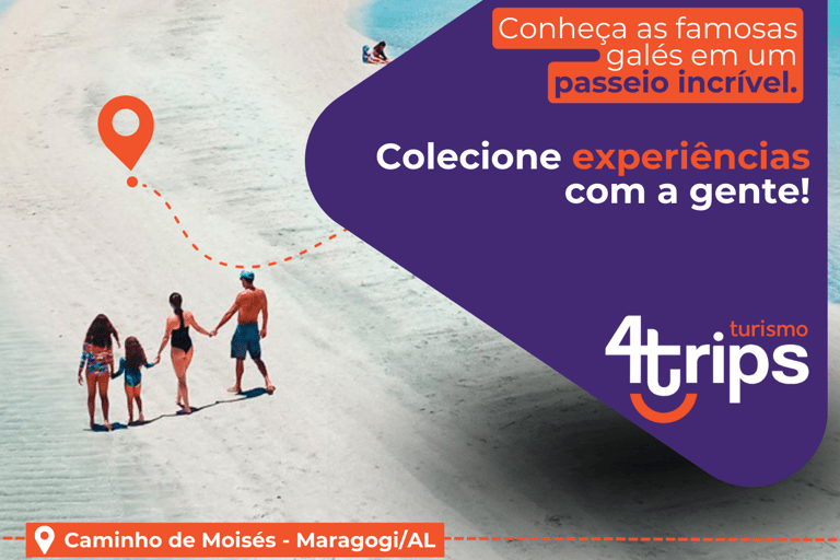 Maragogi: Private Transfer from Recife Airport (round trip)