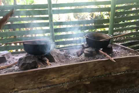 Punta Cana: Monkey Land Half-Day Safari
