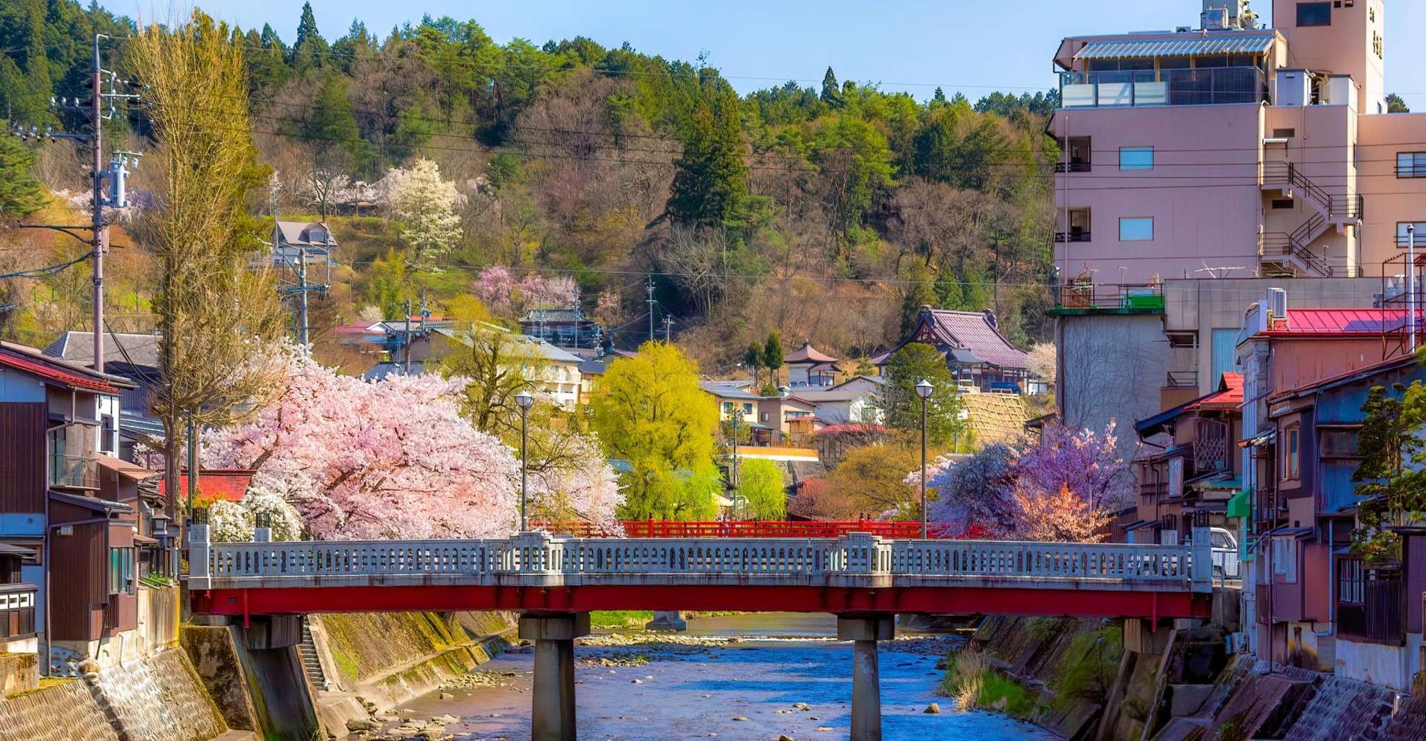 Nagoya, Hida Takayama & World Heritage Shirakawa-go Day Tour - Housity